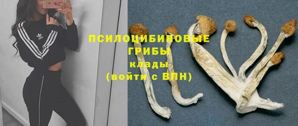 прущая мука Алзамай